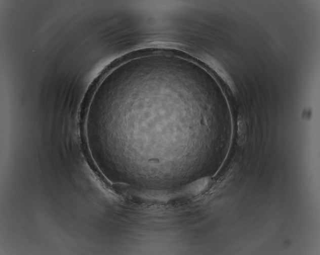 X0000093610972200710221603