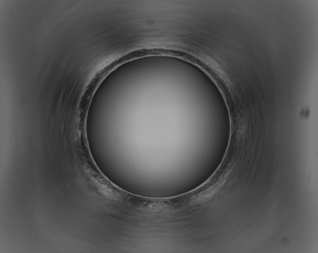 X0000093610974200710221603