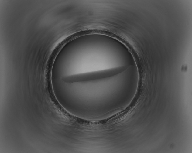 X0000093610975200710221603