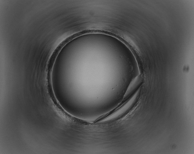 X0000093610976200710221603