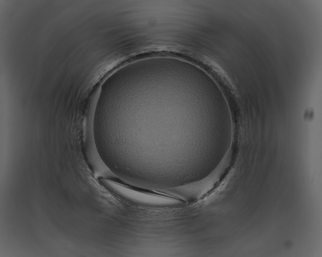 X0000093610977200710221603