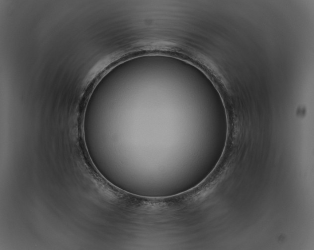 X0000093610978200710221603