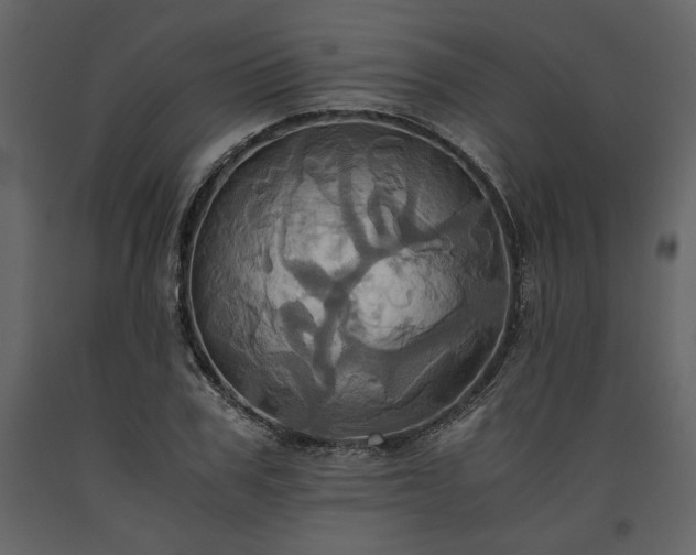 X0000093610979200710221603