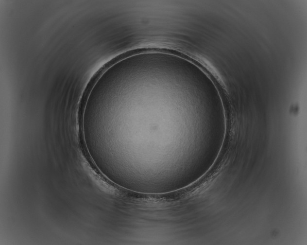 X0000093610980200710221603
