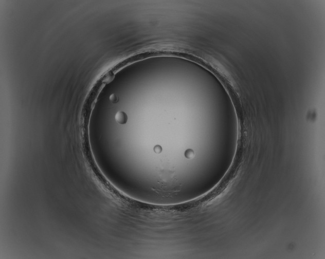 X0000093610981200710221603