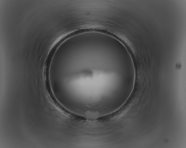 X0000093610983200710221603