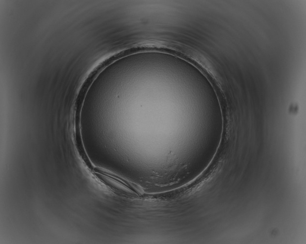 X0000093610984200710221603