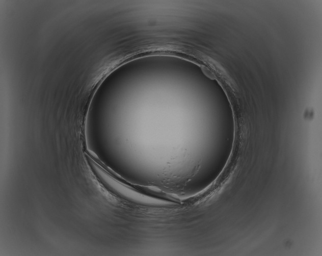 X0000093610985200710221603