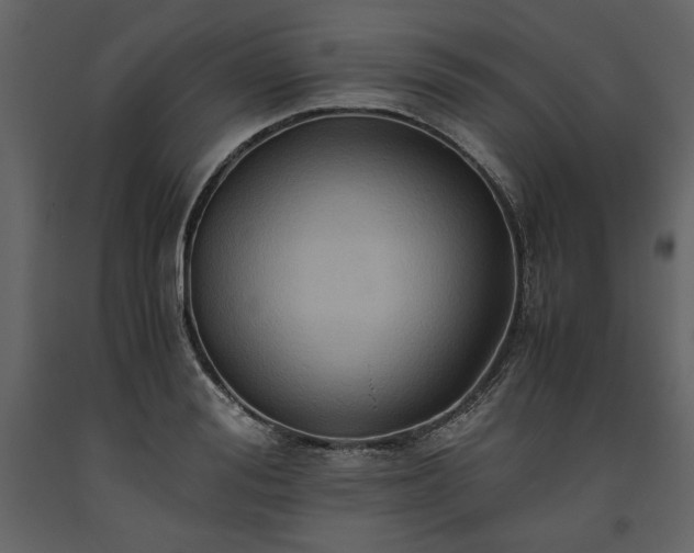 X0000093610988200710221603