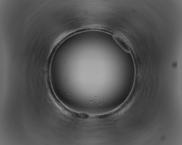 X0000093610989200710221603