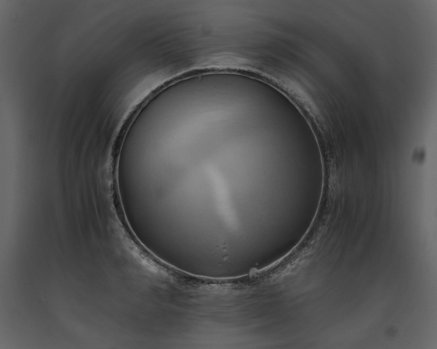 X0000093610990200710221603