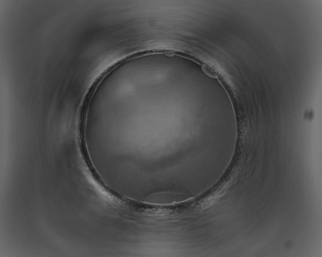 X0000093610991200710221603