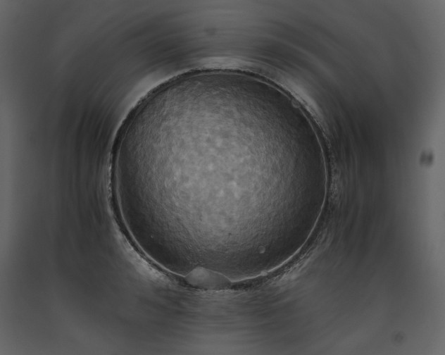 X0000093610992200710221603