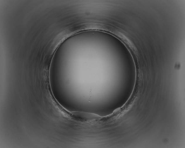 X0000093610993200710221603