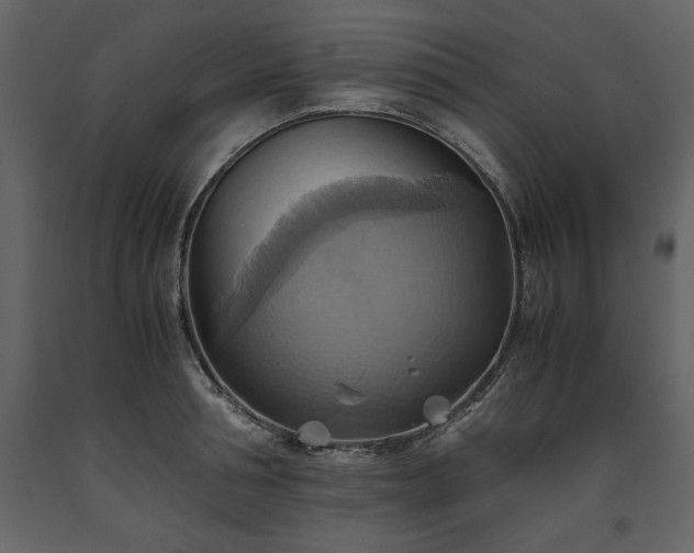 X0000093610994200710221603