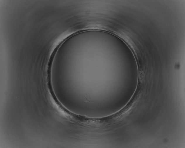 X0000093610995200710221603