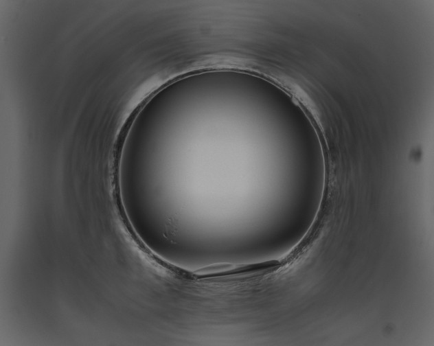 X0000093610997200710221603