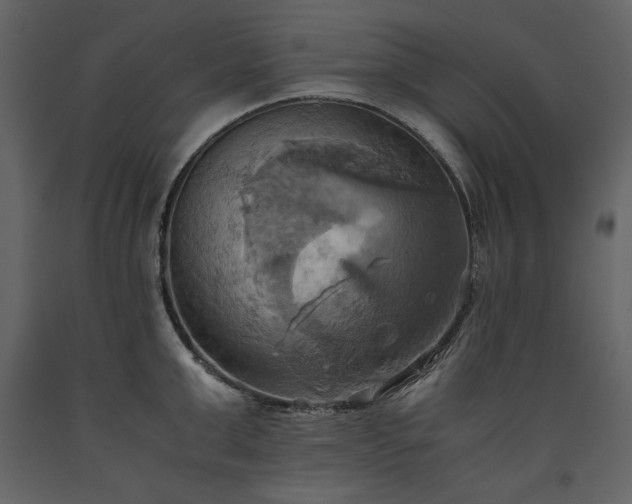 X0000093610999200710221603