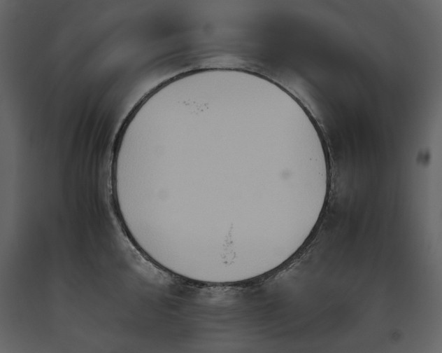 X0000093611000200710221603