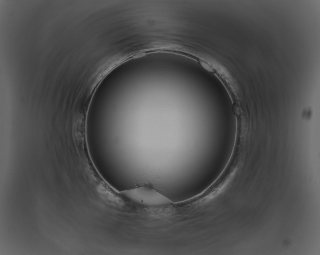 X0000093611001200710221603
