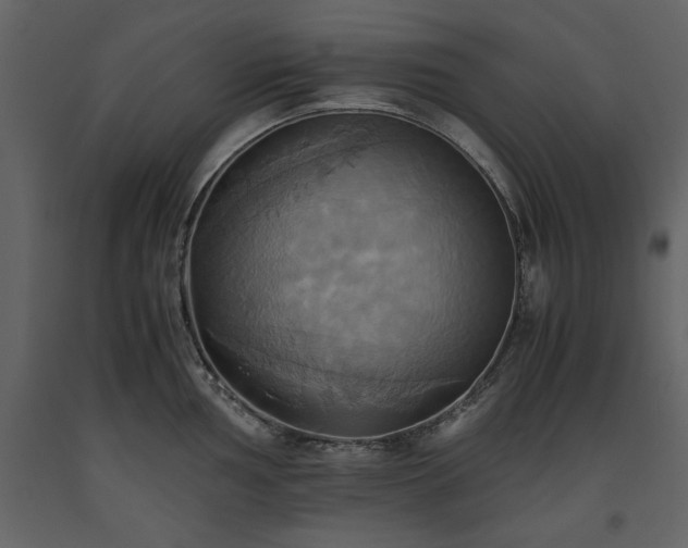 X0000093611002200710221603