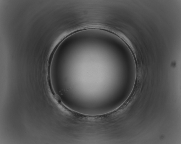 X0000093611005200710221603