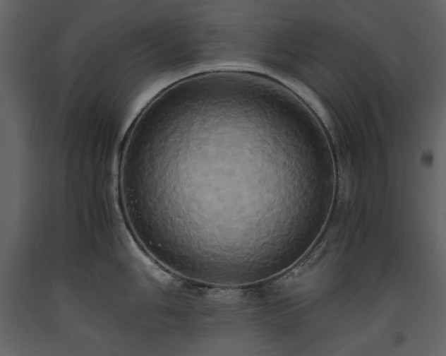 X0000093611006200710221603