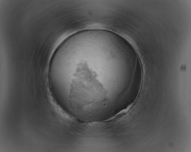 X0000093611008200710221603
