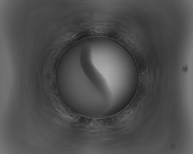 X0000093611009200710221602