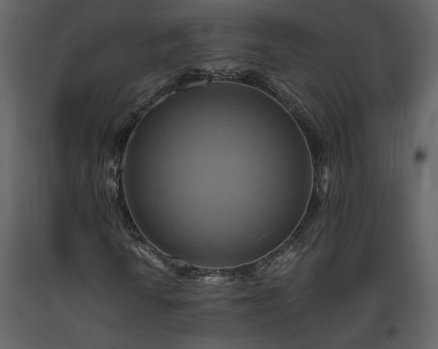 X0000093611010200710221602