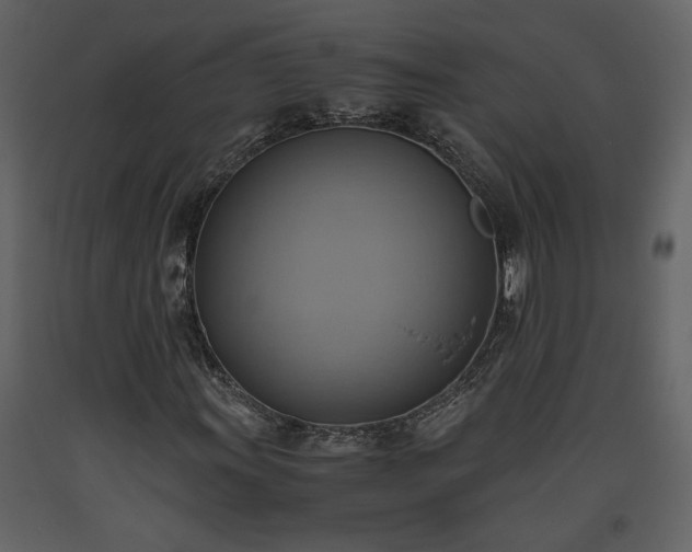 X0000093611011200710221602