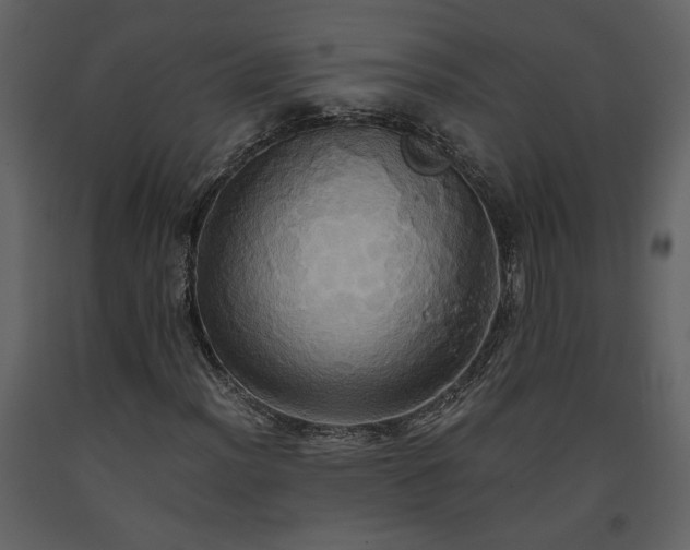 X0000093611012200710221602