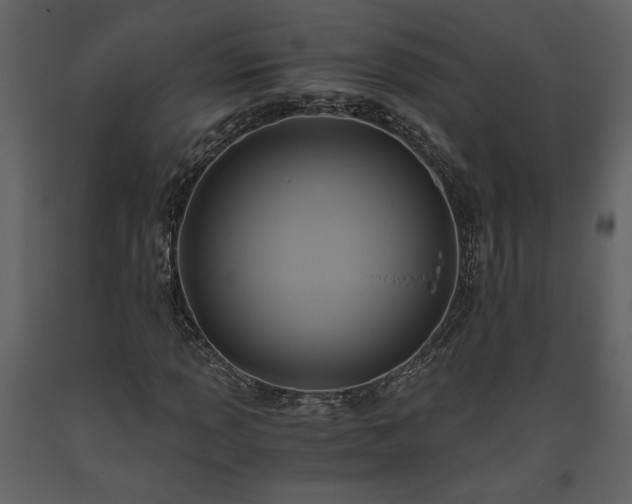 X0000093611013200710221602