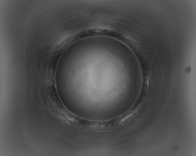 X0000093611014200710221602