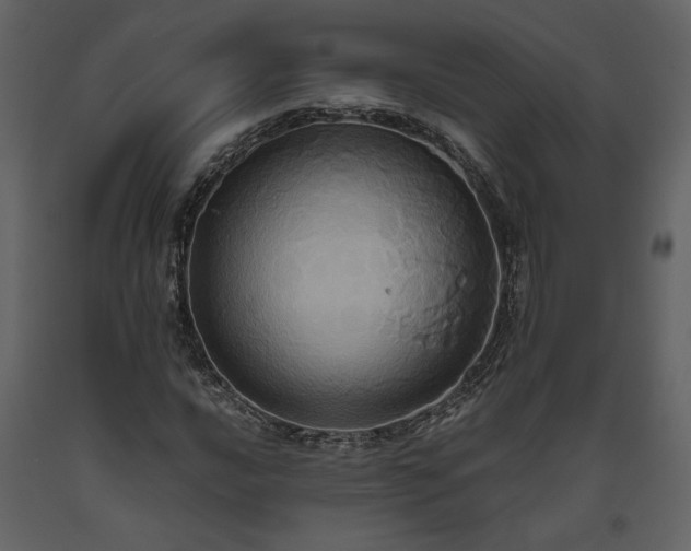 X0000093611016200710221602