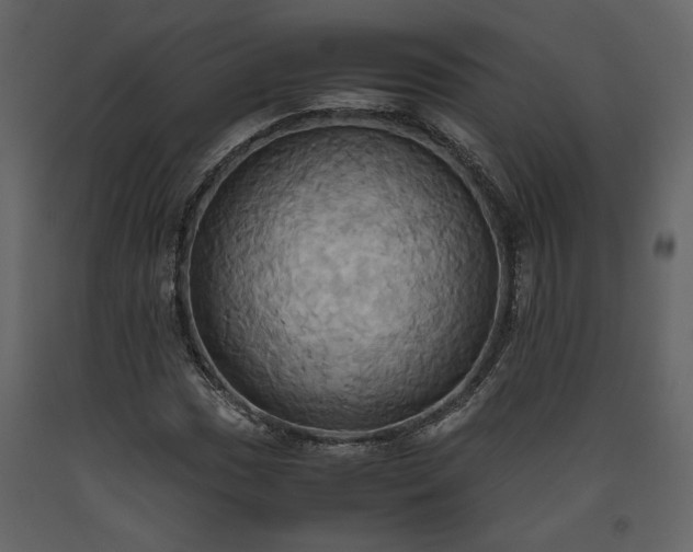 X0000093611017200710221602