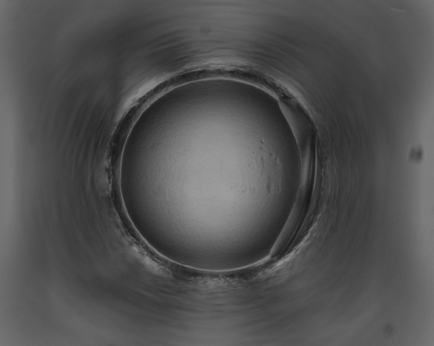 X0000093611018200710221602