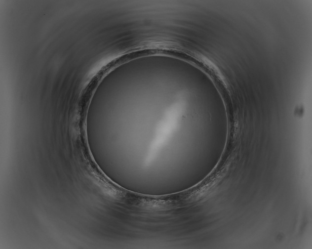 X0000093611019200710221602