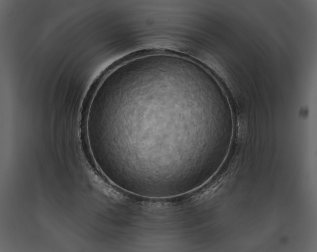 X0000093611020200710221602