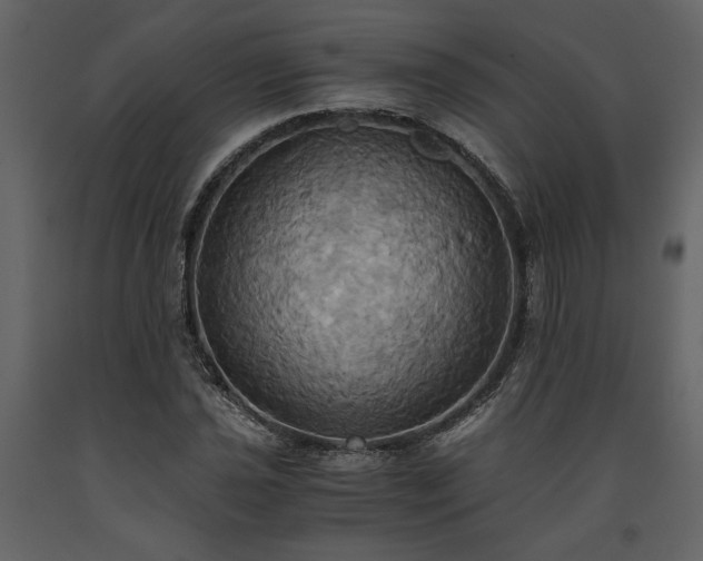 X0000093611021200710221602