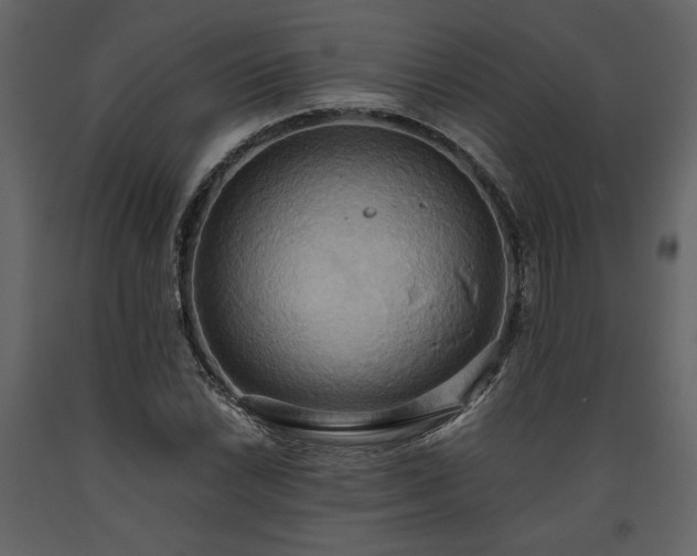X0000093611022200710221602