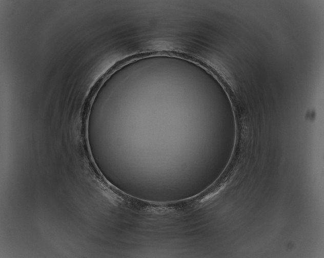 X0000093611023200710221602