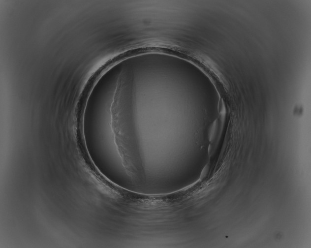 X0000093611024200710221602