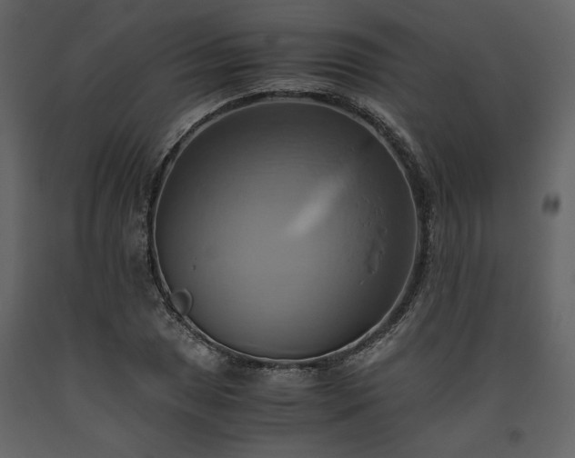 X0000093611025200710221603
