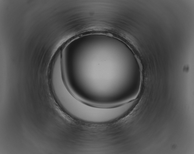 X0000093611026200710221603