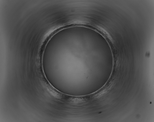 X0000093611027200710221603