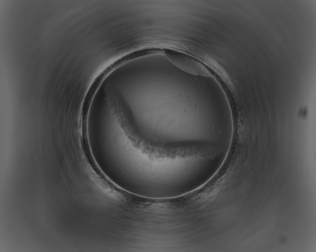 X0000093611028200710221603