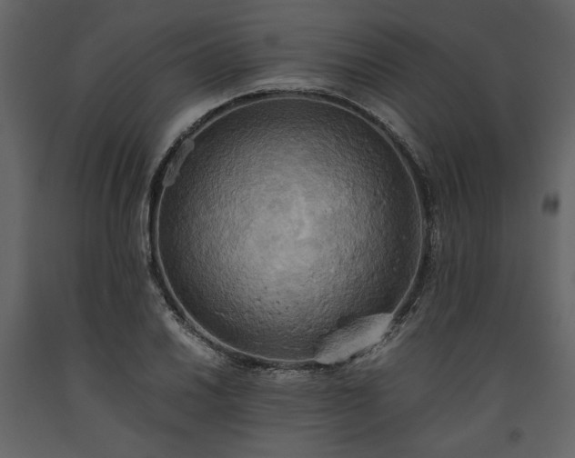 X0000093611030200710221603