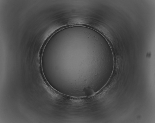 X0000093611031200710221603
