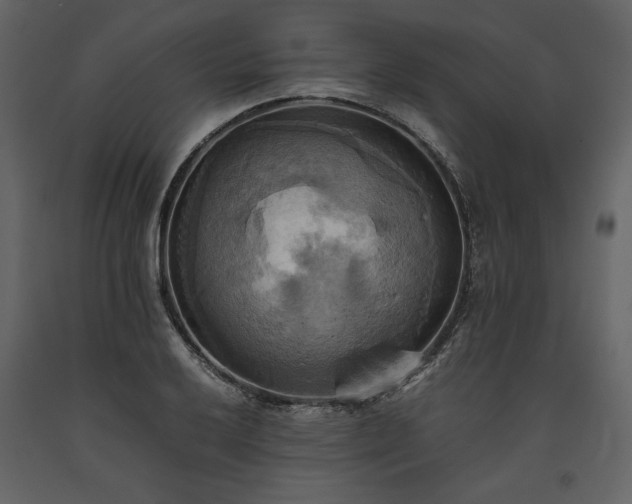 X0000093611032200710221603